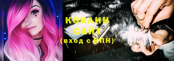 кокс Алексин
