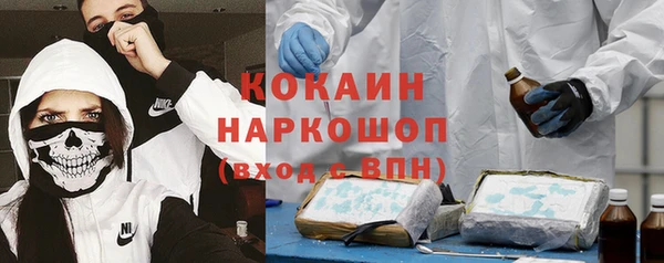 кокс Алексин